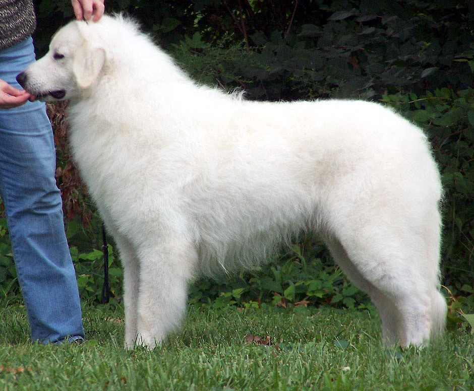 aries-side_08-19-06