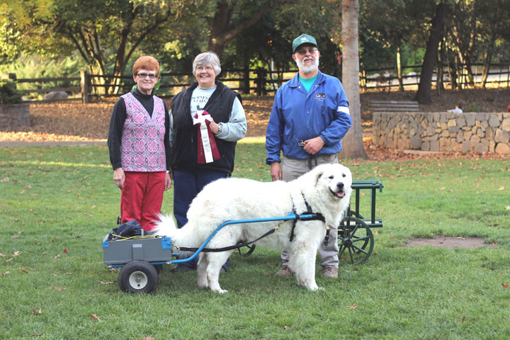 Berner Draft Test (above) Judge: Ms. Linda Thomas.