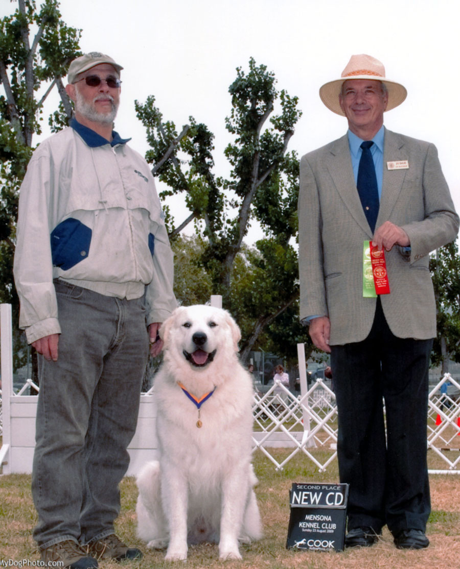 Attila (above) earned his AKC Novice Obedience (Companion Dog) title under Judge William “Pat” Beauchamp at the Mensona Kennel Club show on 09/23/09.