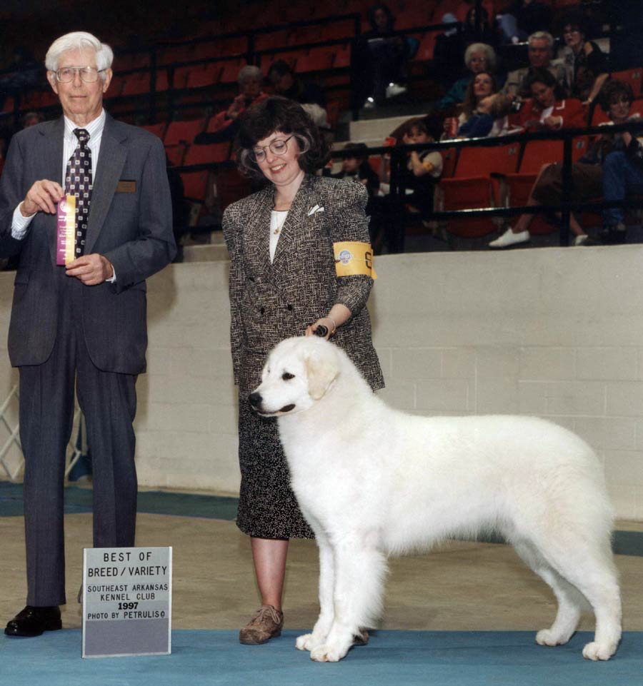 Cat going Best of Breed  (Southeast Arkansas KC 1997) owner/handled here by Kathy Ringering.