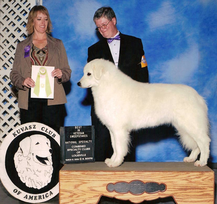 "Cat" won the 2006 KCA Specialty Show Veteran sweepstakes!  Owner/Handled by Chuck Ringering, above. (March 15, 2006, Louisville, KY)  