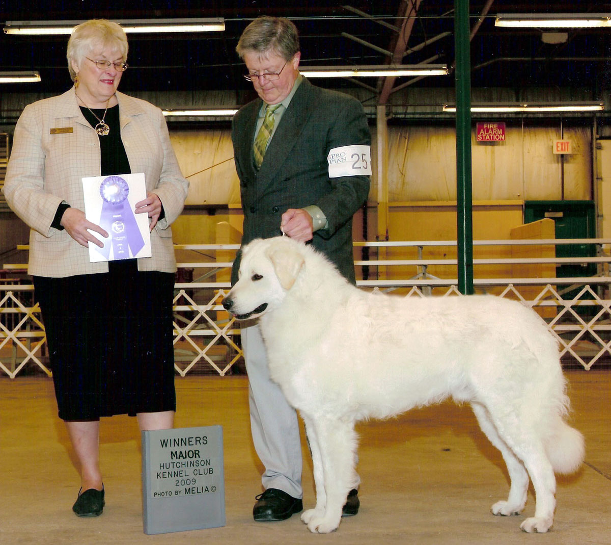 Cezár v.d. Viersenhoeve - Double Ring Kuvasz