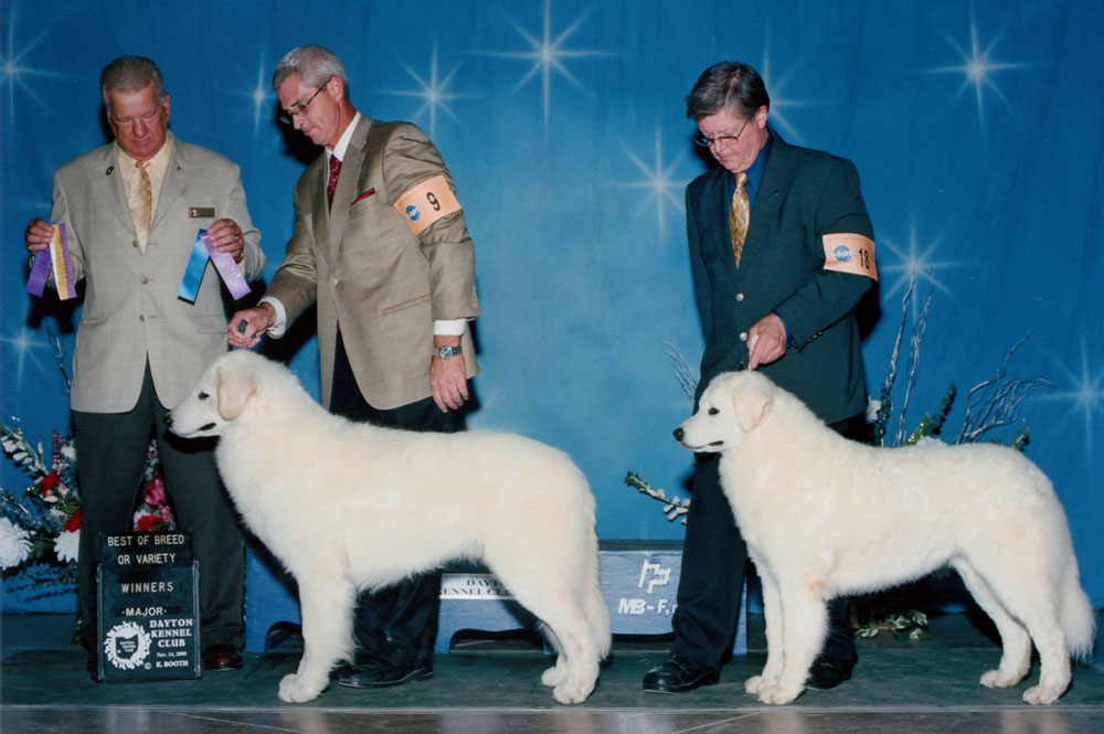 Diesel and his litter sister, Zury (Nov. 2008)