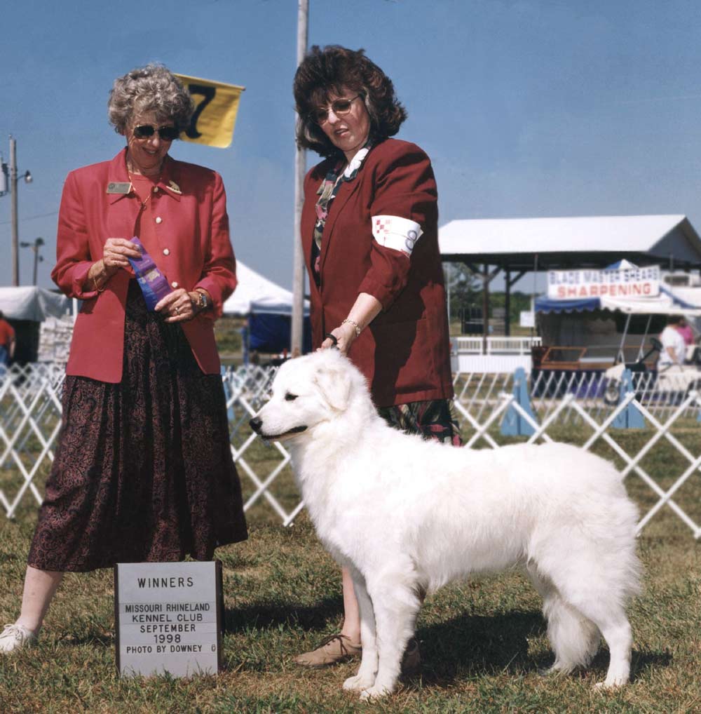 "Hana" going BW BEST OF WINNERS. Missouri Rhineland K.C., Sept, 1998. ( photo by Downey.)