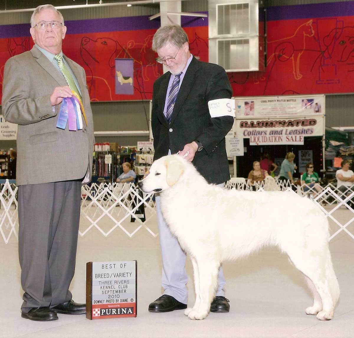 Sept. 2010.  Owner Handled by Chuck Ringering (Photo by Diane)