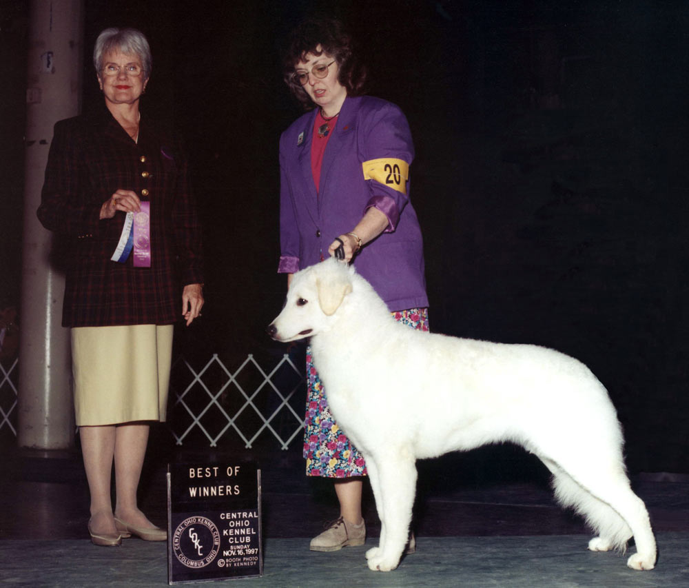 "Mali" taking BEST OF WINNERS Central Ohio K.C.- Nov. 16, 1997 (photo by Kennedy)