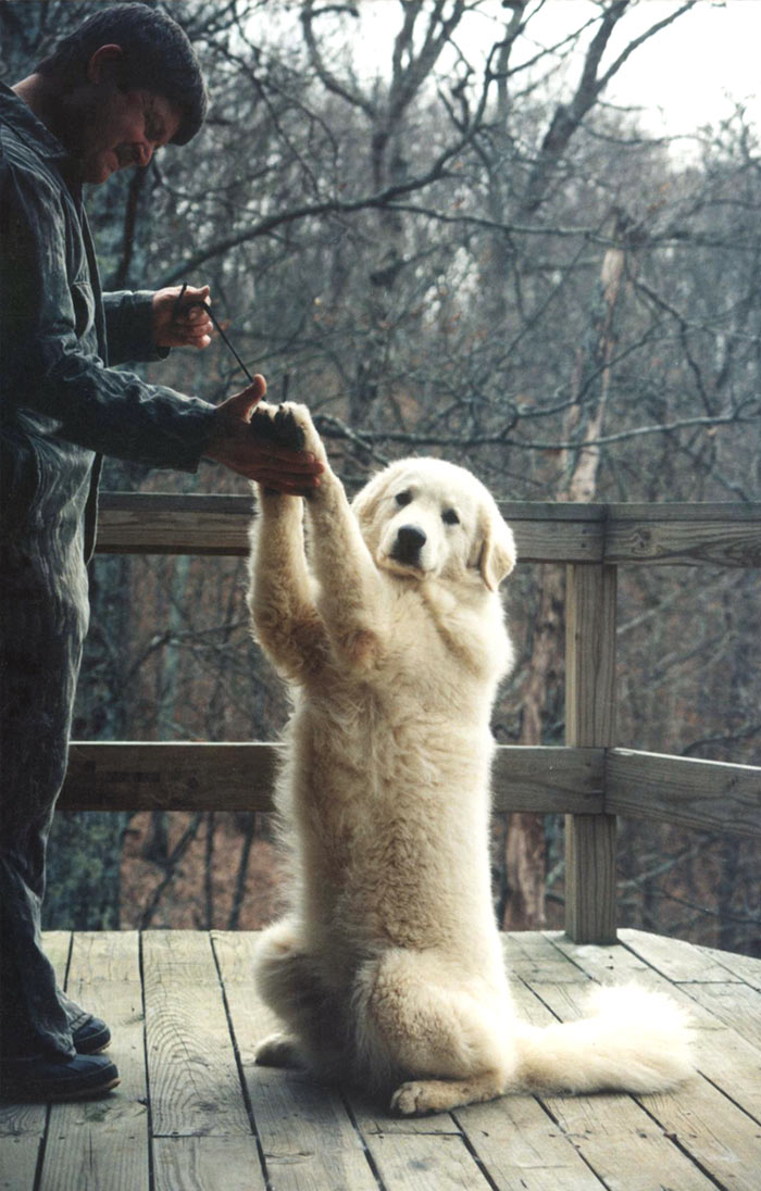 Maya "high-fiving"Chuck.