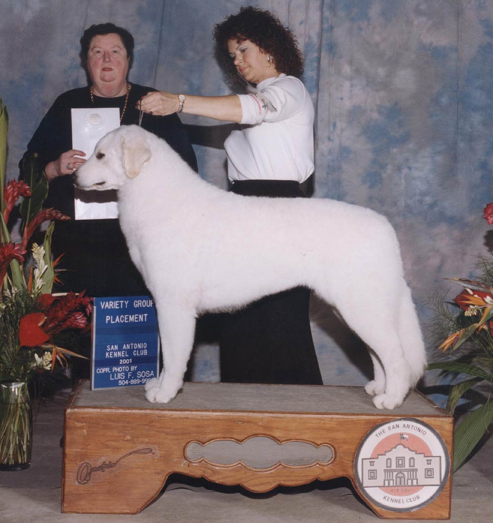 2001- Morgan takes GROUP 4TH (San Antonio TX K.C.) (photo by Luis F. Sosa)