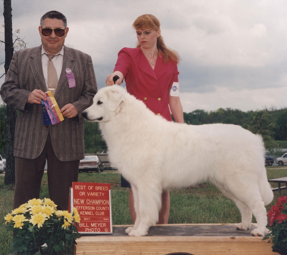 Best of Breed, Jefferson County K.C. 5 point MAJOR - Specialty weekend, Reno, NV 1993.  (photo by Bill Meyer) 