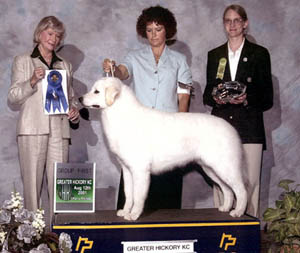 SERA winning GROUP 1 (Aug. 12, 2001) at the Greater Hickory K.C.