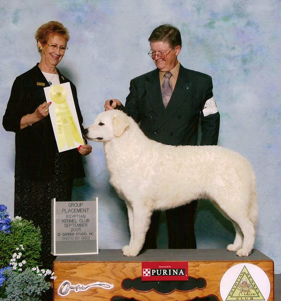 Sera also took BOS- Best of Opposite Sex - Feb, 2003, at the world famous Westminster Kennel Club show in NYC.