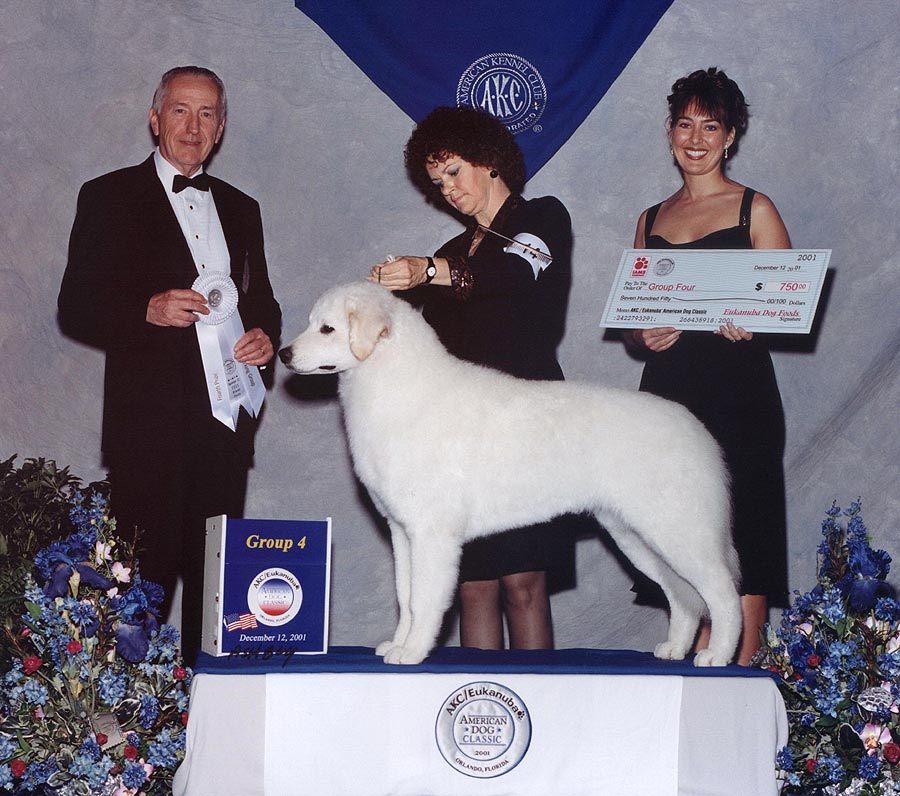 Champion Double Ring Moonlight Serenade was the first Kuvasz to win a prestigious Group placement at the AKC Eukanuba Invitational