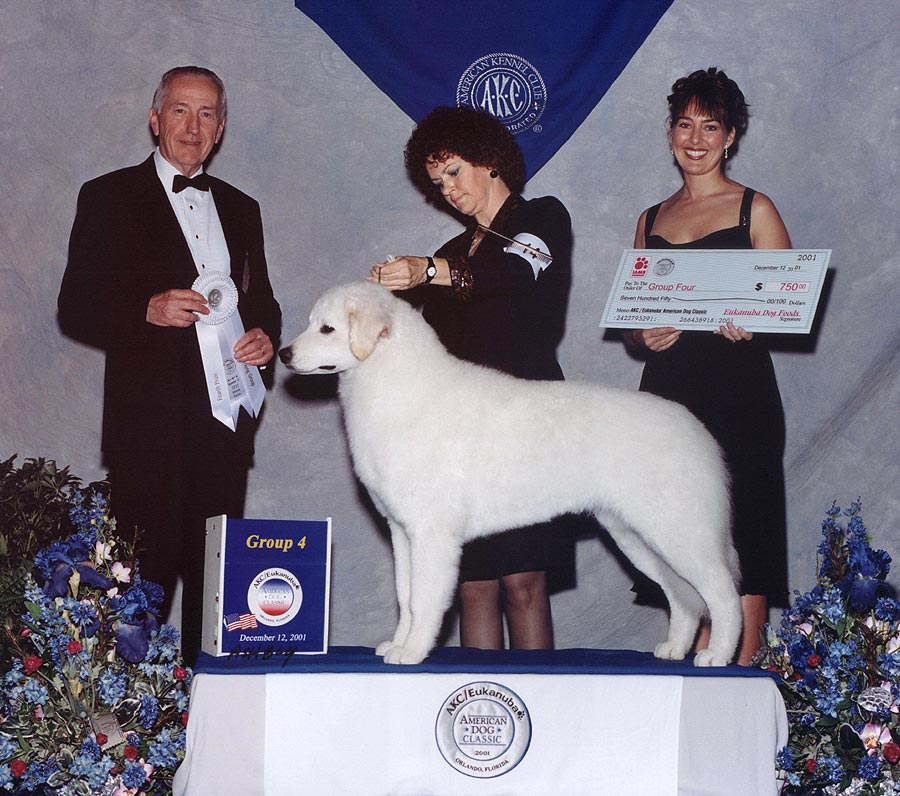 Ch Double Ring Moonlight Serenade 1sr Kuvasz to win Group at Eukanuba