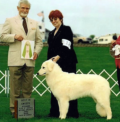 A young ATHENA taking BEST IN SWEEPS at the 2003 KCA National Specialty Show. Owner/Handled by Kathy Ringering.