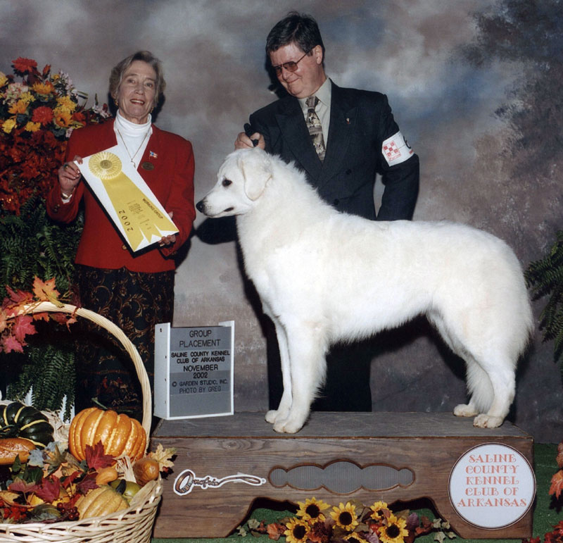 "Sophie" taking GROUP 3rd (Saline County K.C. of Arkansas. Nov. 2002. (photo by Greg.)